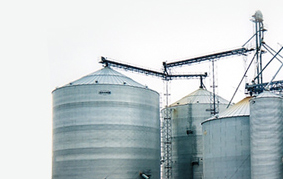 Feed Industry